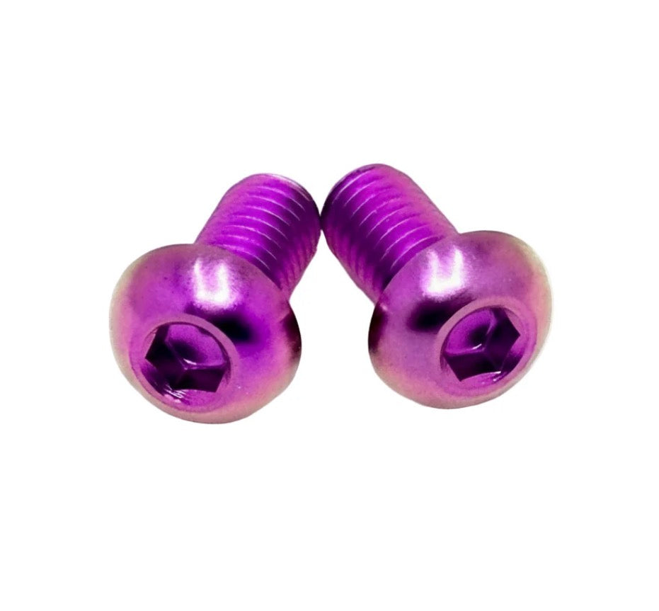 Ultra Bee Dashboard Titanium Bolts (set of 4)