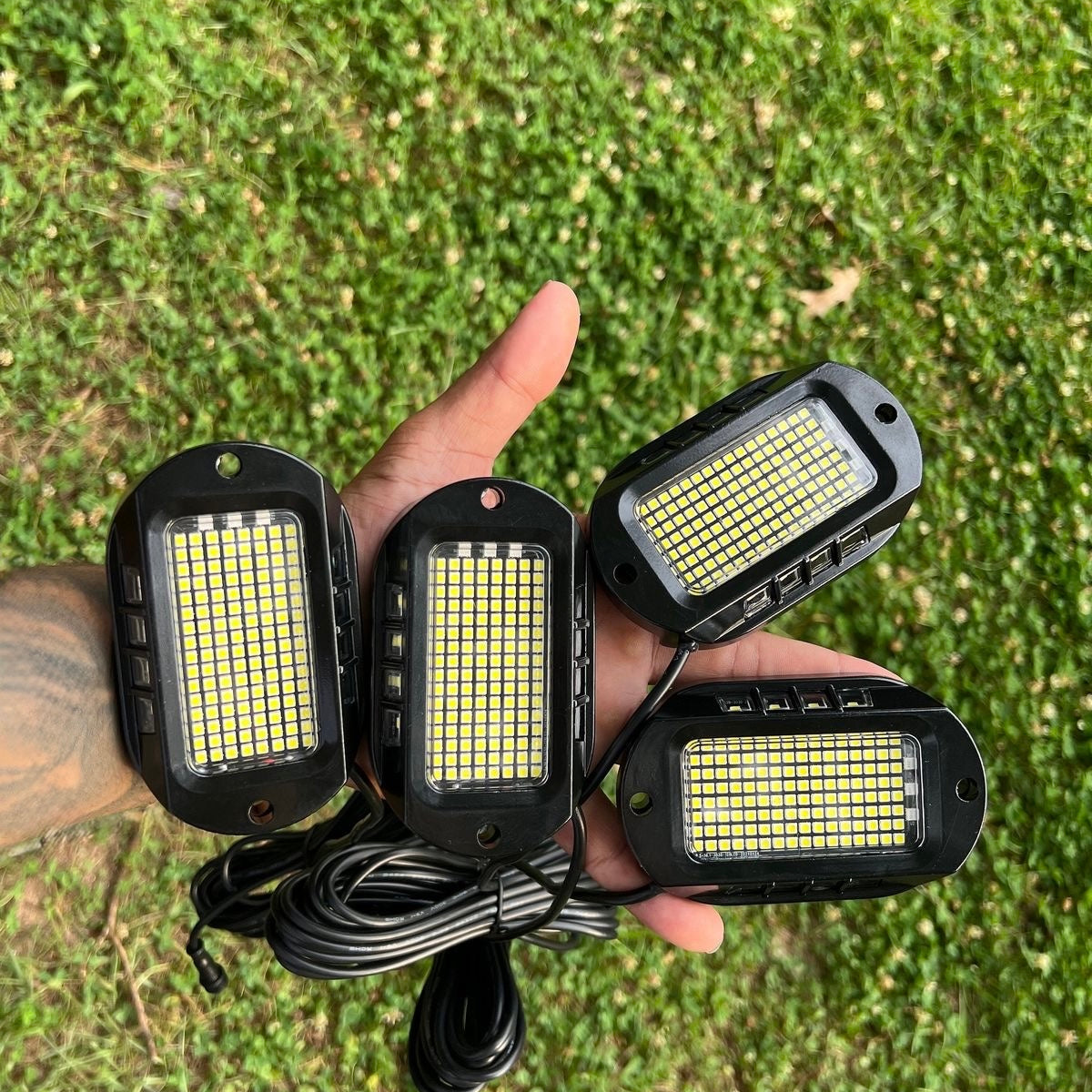 Rock lights